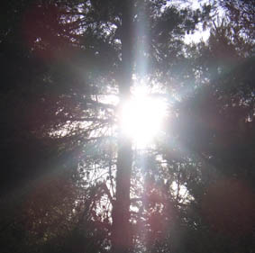 benageberix-148 benageberix-148