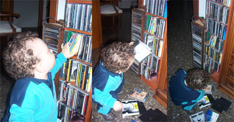 guillemcds guillemcds