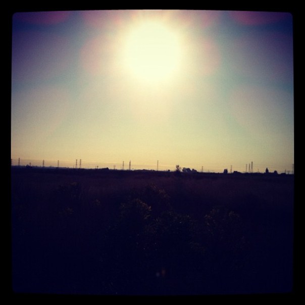 8d55d09e1b3711e19896123138142014_7