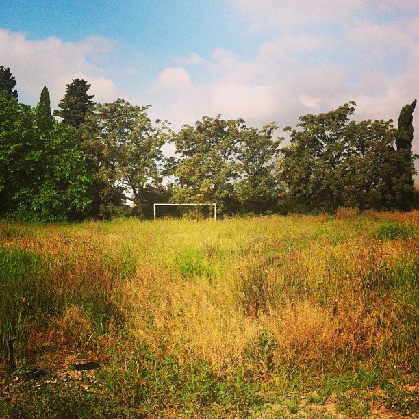 21141_10200943579021644_696864043_n