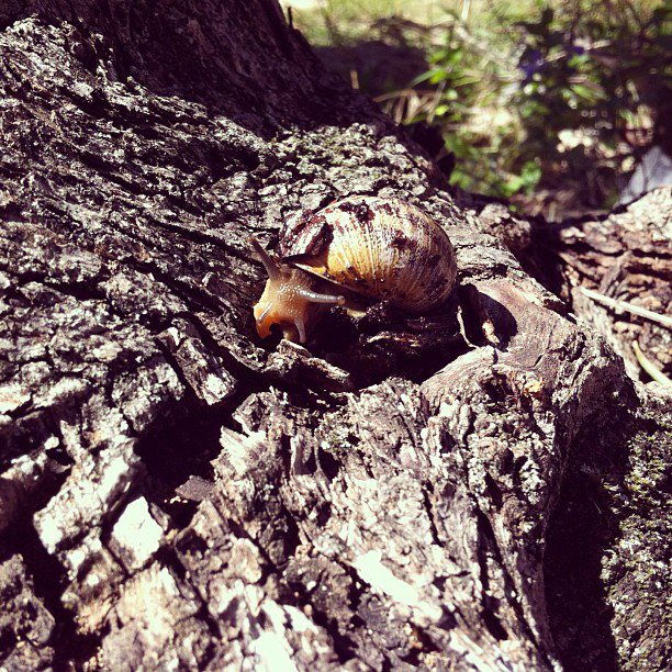 482829_10200820893034571_1037279986_n