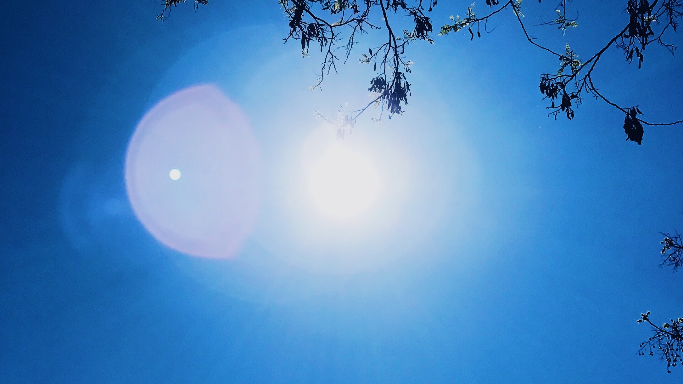 FDB55625-91B1-48BE-AC43-43AB0B957679